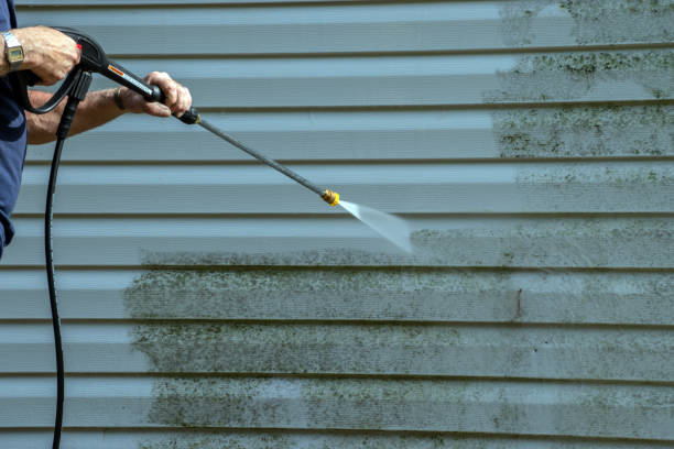Professional Pressure Washing in Mcalmont, AR