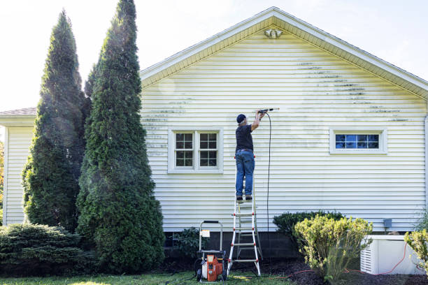 Best Residential Pressure Washing Services  in Mcalmont, AR